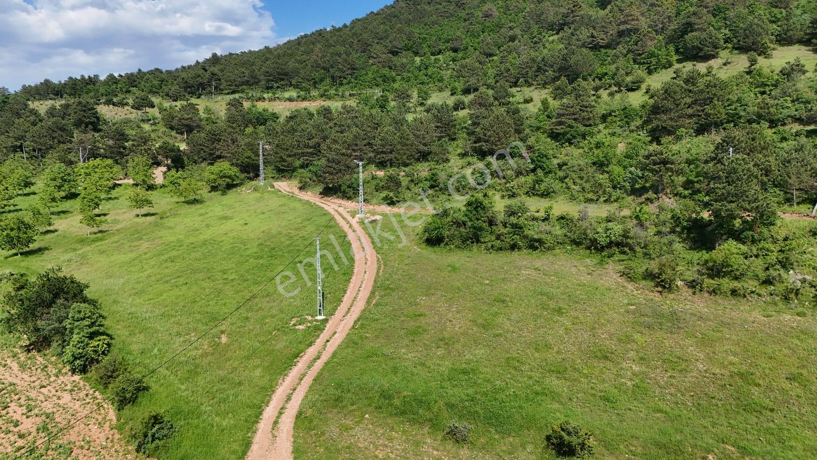 Sakarya Geyve Akdoğan Elektrik Su 2297 M2 Resmi Yola Cephe - Görsel 14