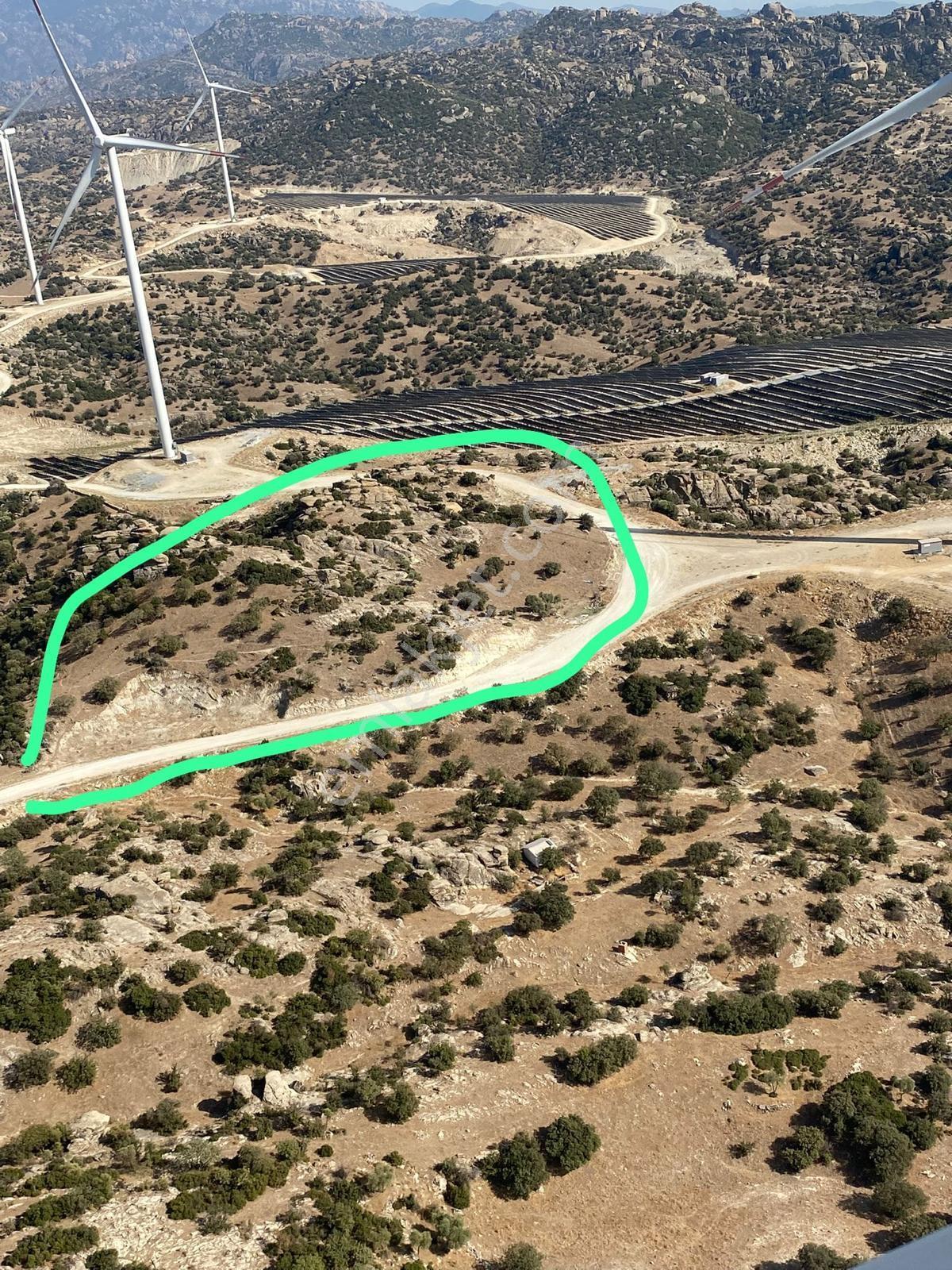 Yeşilköyde Satılık 53.605 Dönüm Zeytinlik - Görsel 5