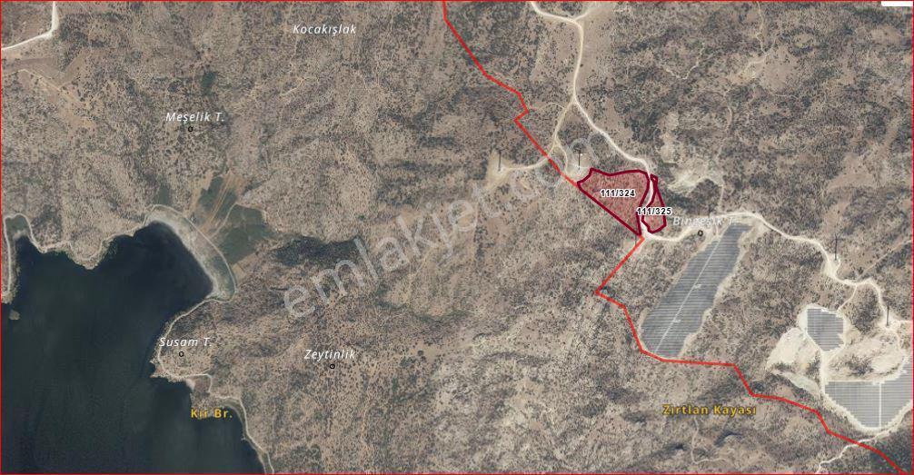Yeşilköyde Satılık 53.605 Dönüm Zeytinlik - Görsel 3
