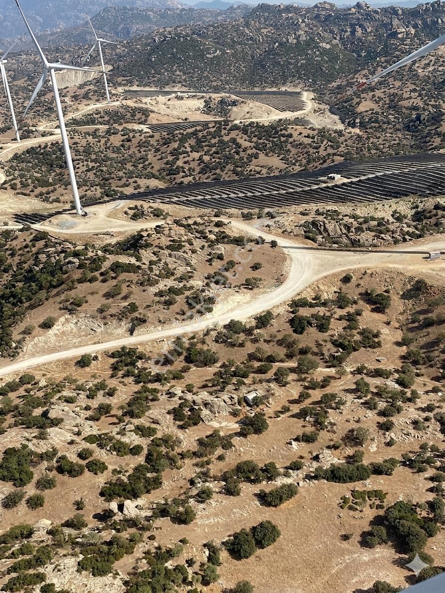 Yeşilköyde Satılık 53.605 Dönüm Zeytinlik - Görsel 2
