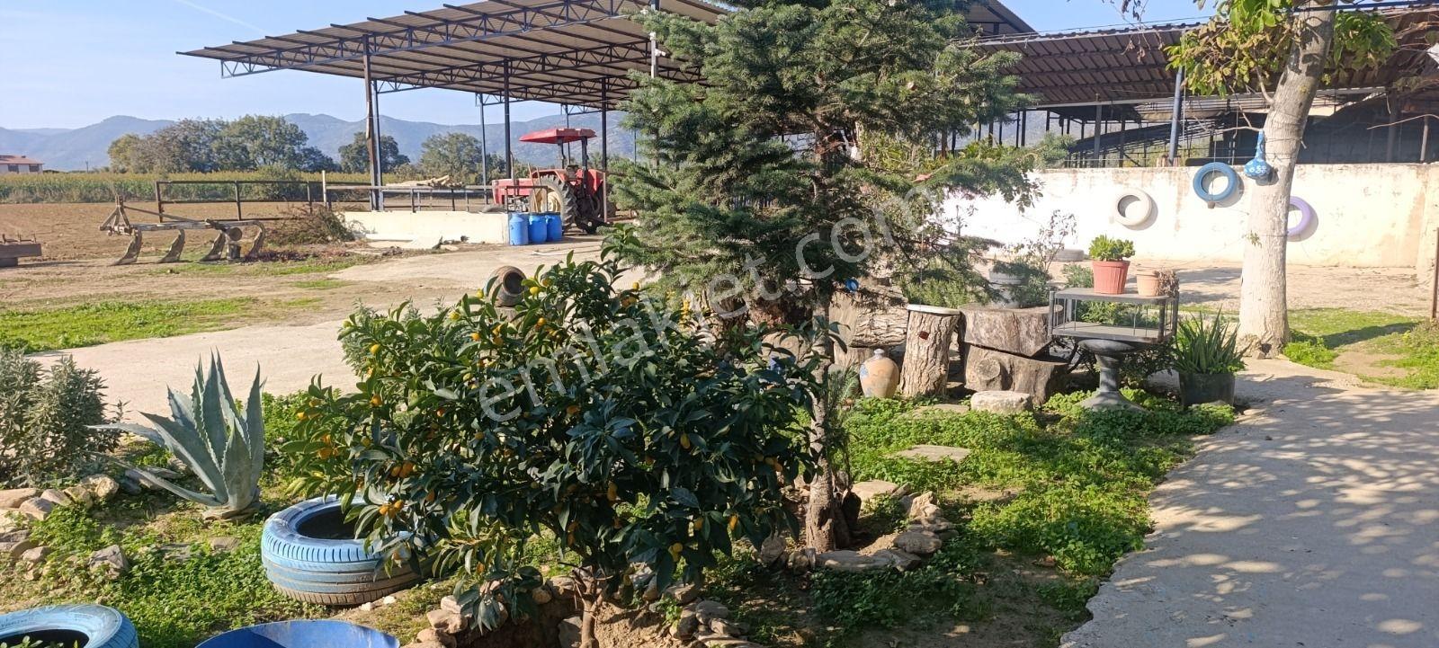 Alım Fırsatı Bu İlan Kaçmazzzz !!!! Takaslara Açık .. - Görsel 24