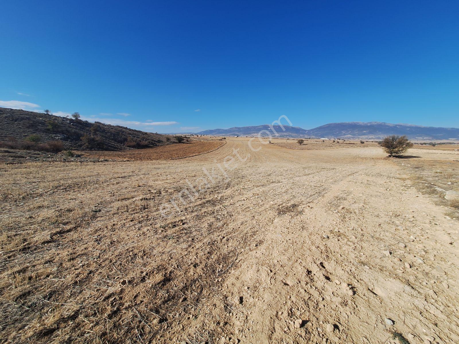 Korkuteli Bozova Da 19.000 M2 İmara 220 Mt - Görsel 14
