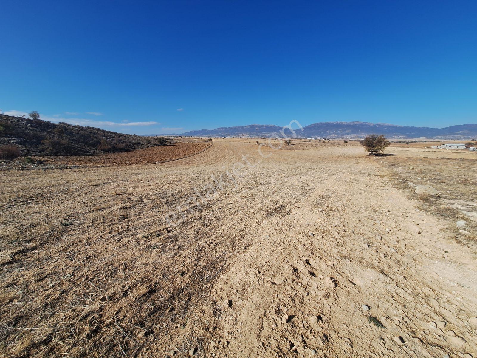 Korkuteli Bozova Da 19.000 M2 İmara 220 Mt - Görsel 2