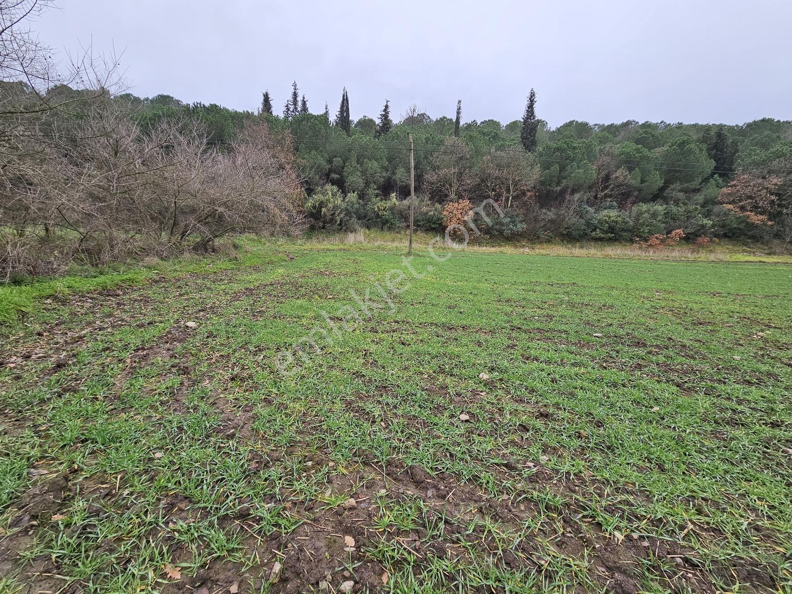 Gönen Ulukır Mh. Ana Yola Cephe Satılık Tarla - Görsel 28