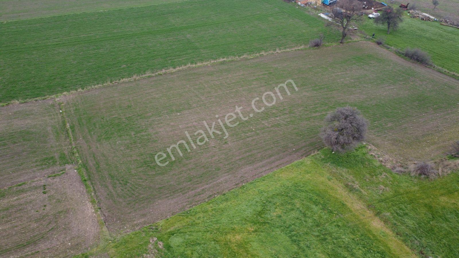 Gönen Ulukır Mh.4.700m² Köyün Yanında Satılık Tarla - Görsel 24