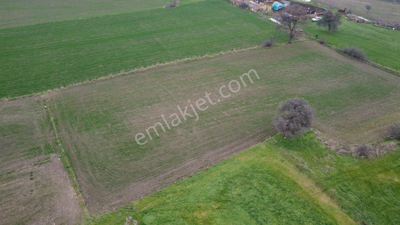 Gönen Ulukır Mh.4.700m² Köyün Yanında Satılık Tarla - Görsel 18