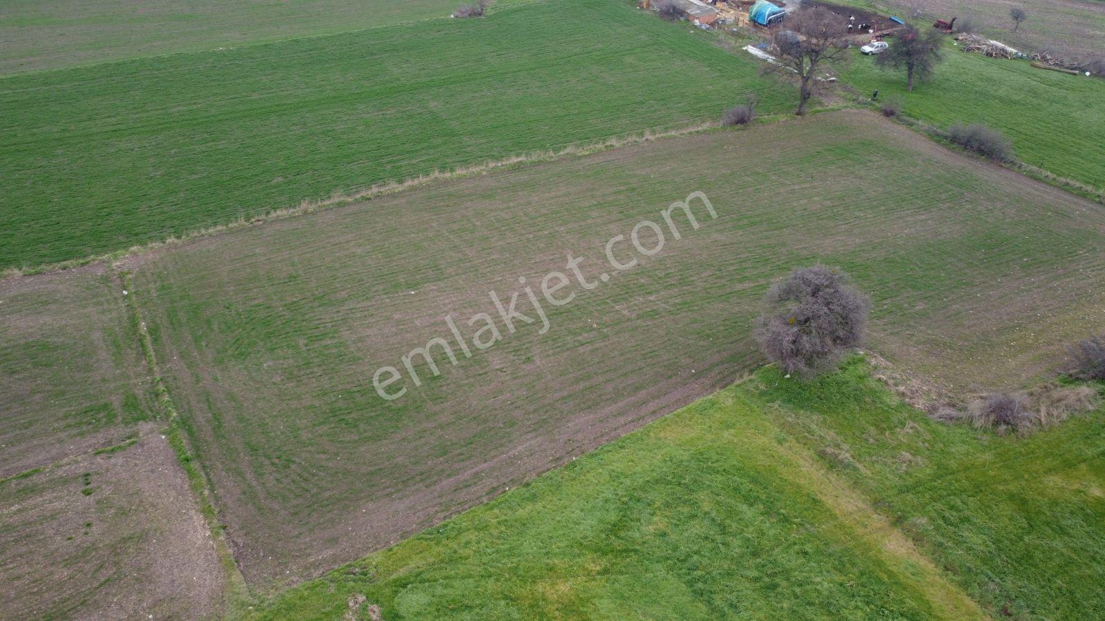Gönen Ulukır Mh.4.700m² Köyün Yanında Satılık Tarla - Görsel 17