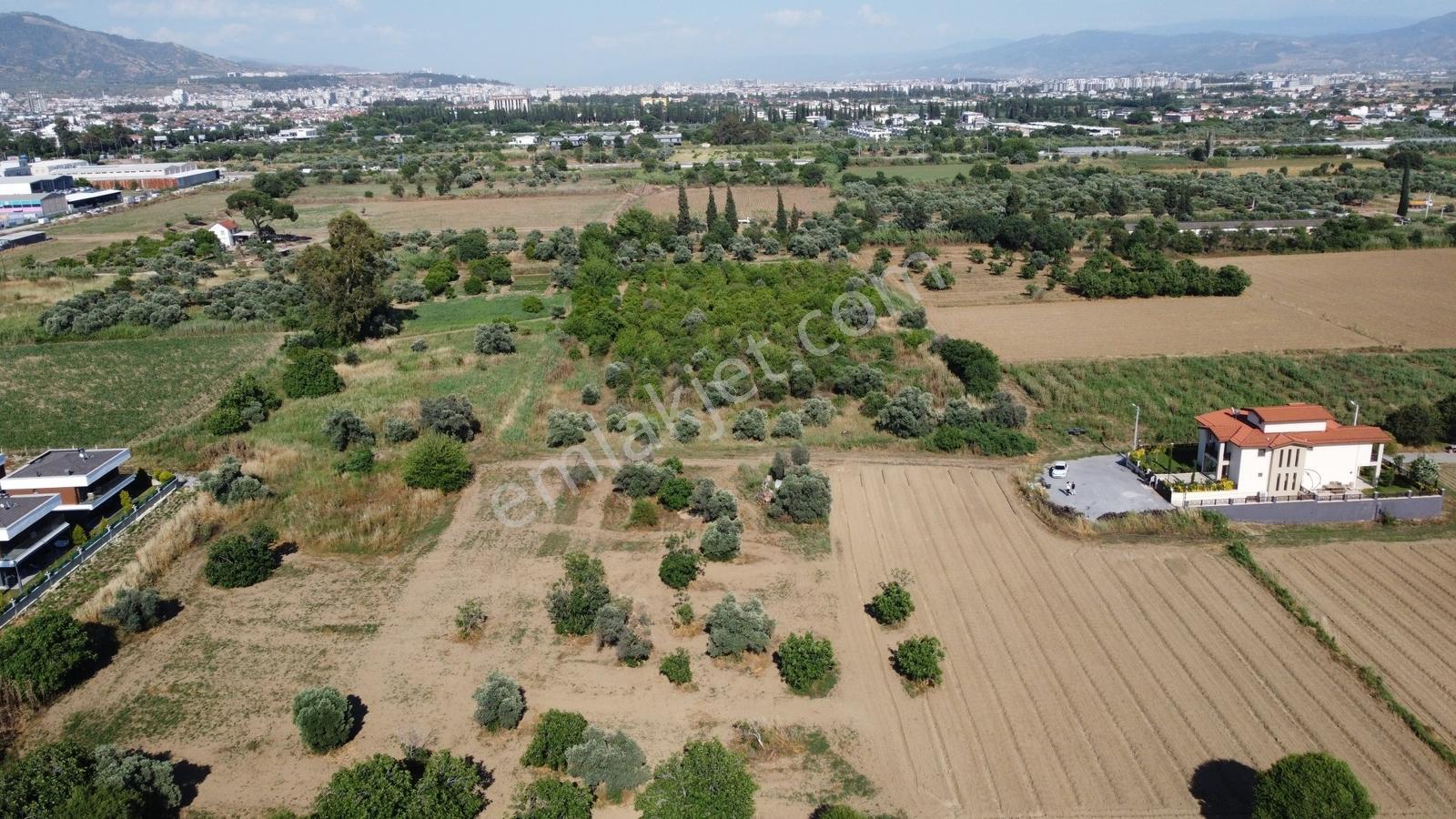 Aydın Kuyulu Mahallesi'nde Satılık Villa İmarlı Arsalar - Görsel 5