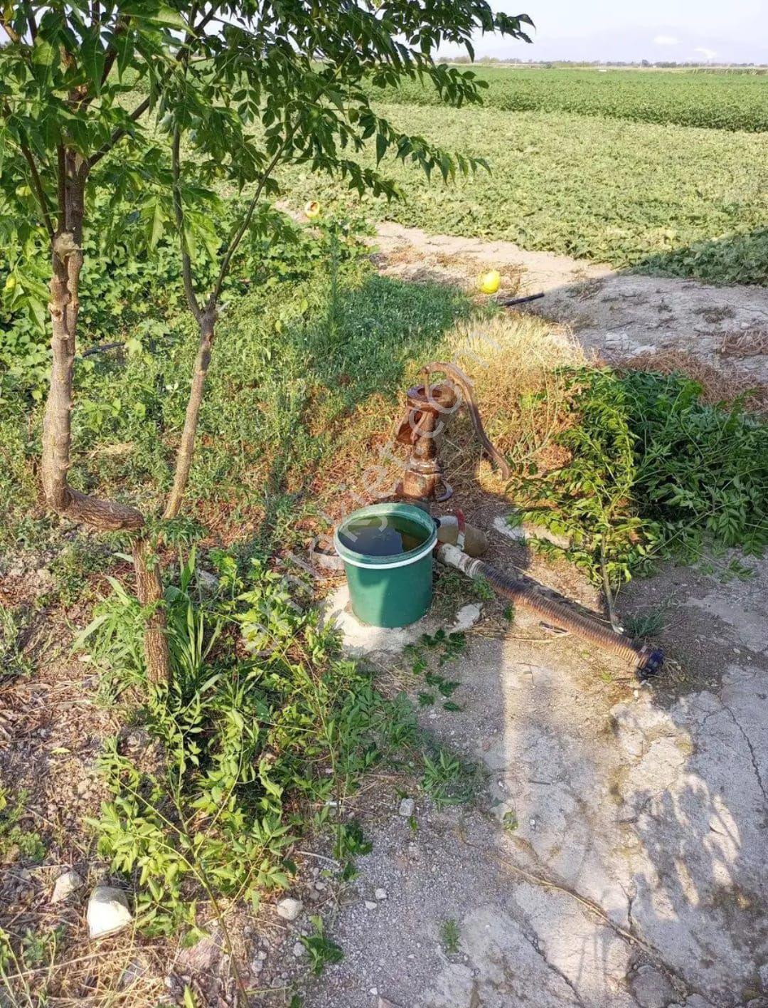 Ferizler Satılık Tarla