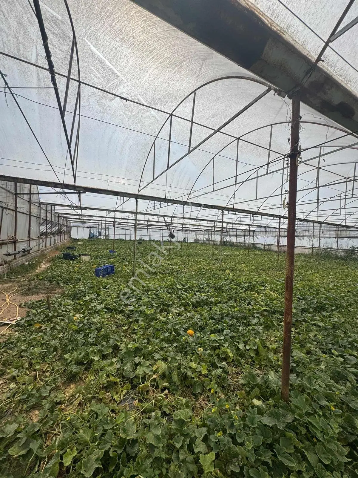 Antalya Aksu Dumanlar Mahallesi Müstakil 6,277 M2 Arsalı - Görsel 4