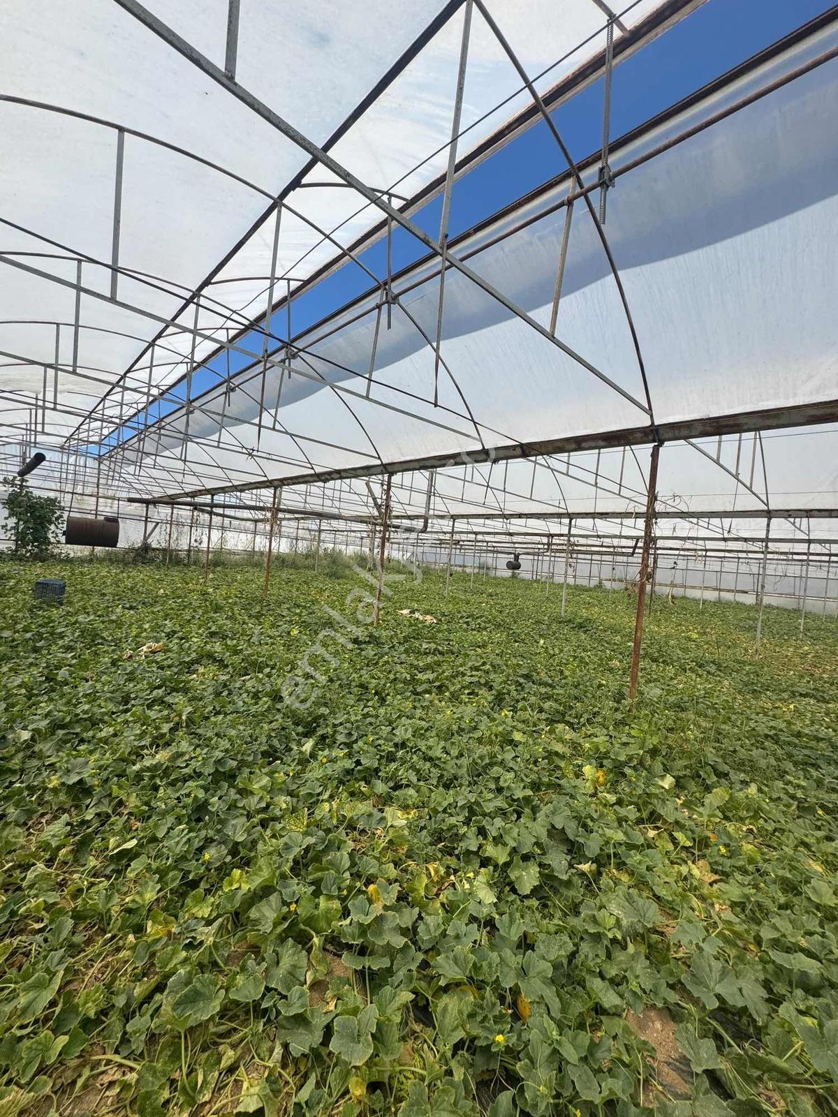 Antalya Aksu Dumanlar Mahallesi Müstakil 6,277 M2 Arsalı - Görsel 8
