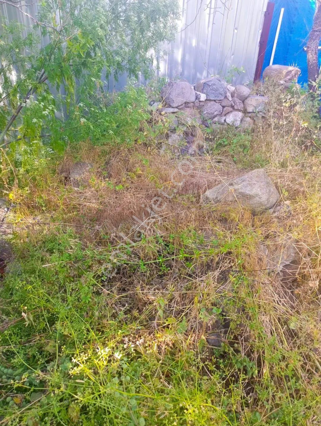Bergama Armağanlar Satılık Arsa - Görsel 4
