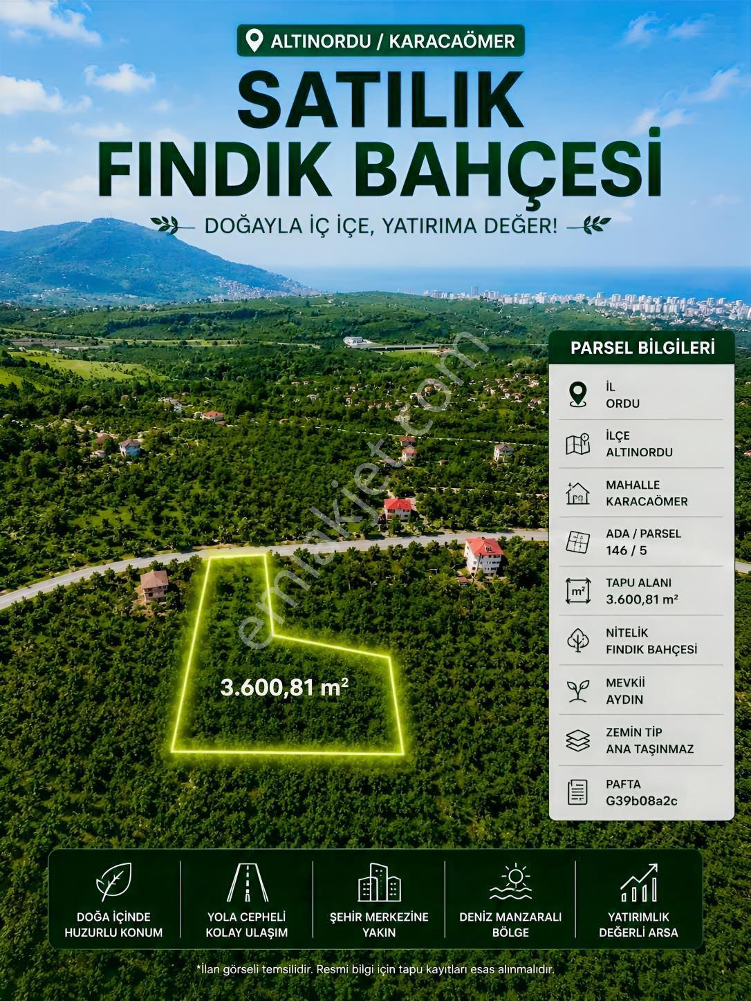 Ordu Karacaömerde Yola Cepheli Yatırımcılara Özel Fırsat Arsa! - Görsel 10