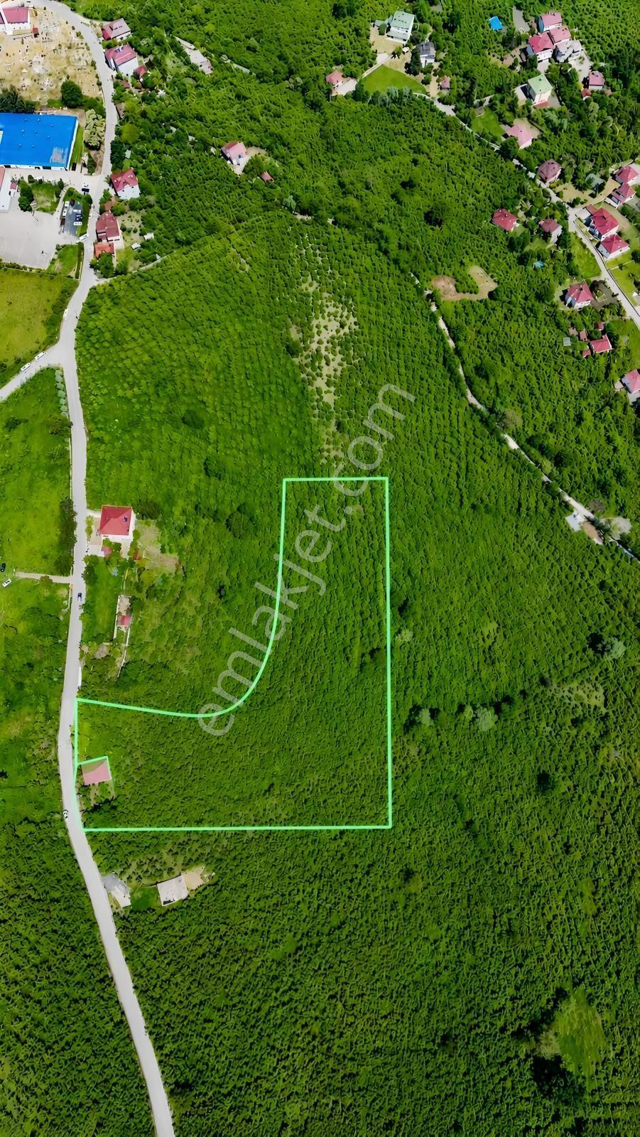 Ordu Karacaömerde Yola Cepheli Yatırımcılara Özel Fırsat Arsa! - Görsel 19