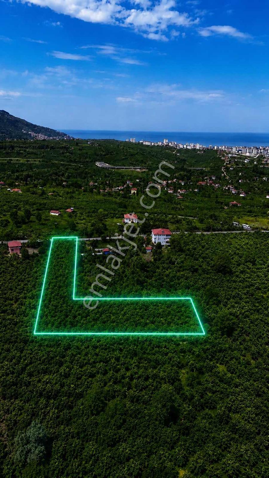 Ordu Karacaömerde Yola Cepheli Yatırımcılara Özel Fırsat Arsa! - Görsel 18