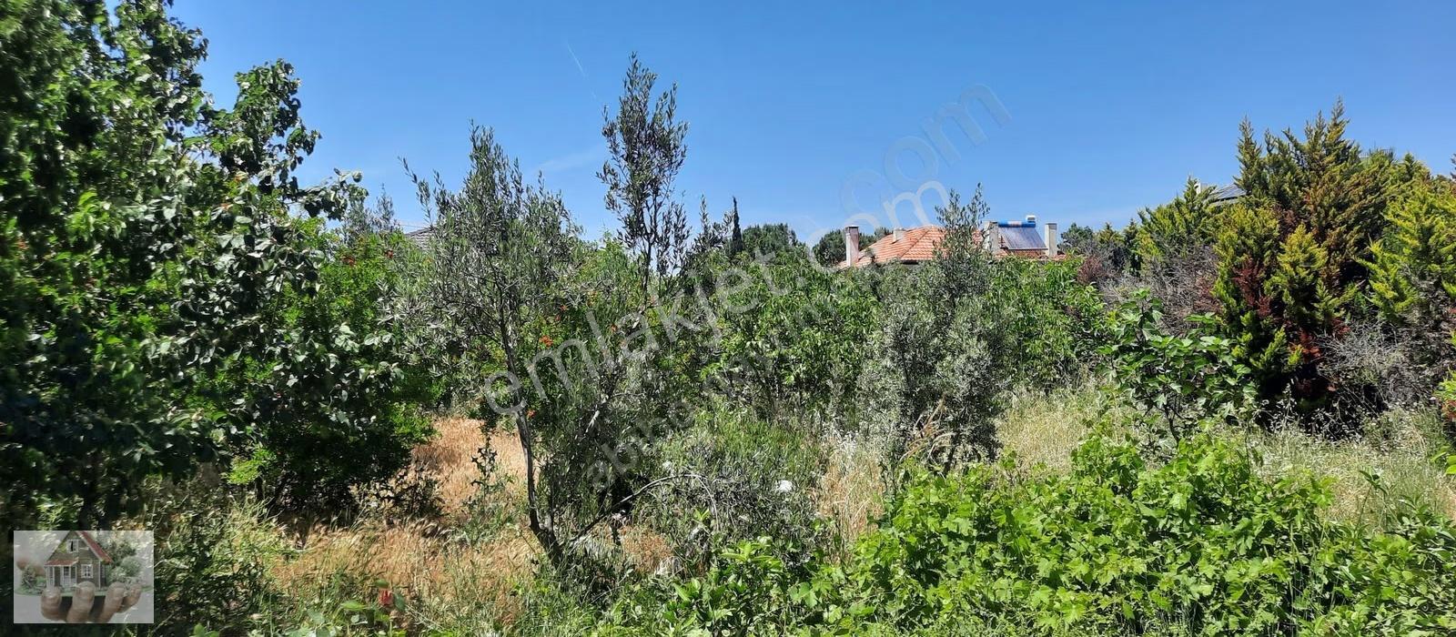 Abibodan Bahçe Kullanımlı Düz Ayak - Görsel 16