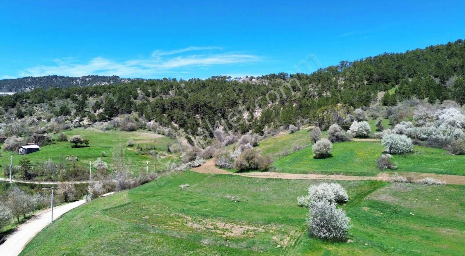 Çaylak Köyünde Köy Manzaralı 1388 M2 Satılık Arazi - Görsel 12