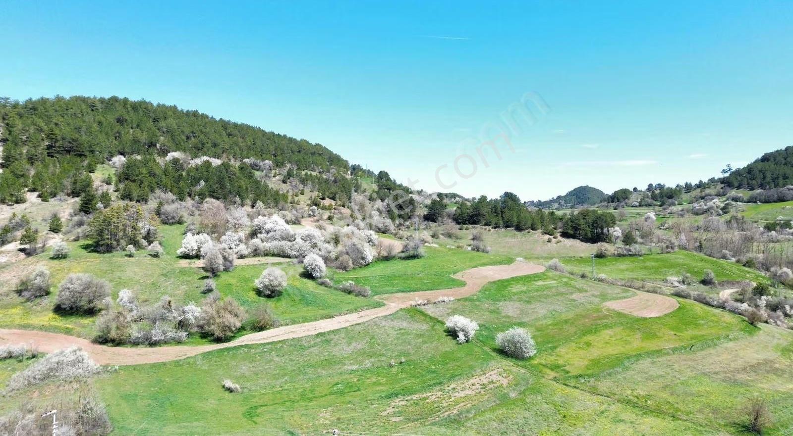 Çaylak Köyünde Köy Manzaralı 1388 M2 Satılık Arazi - Görsel 3