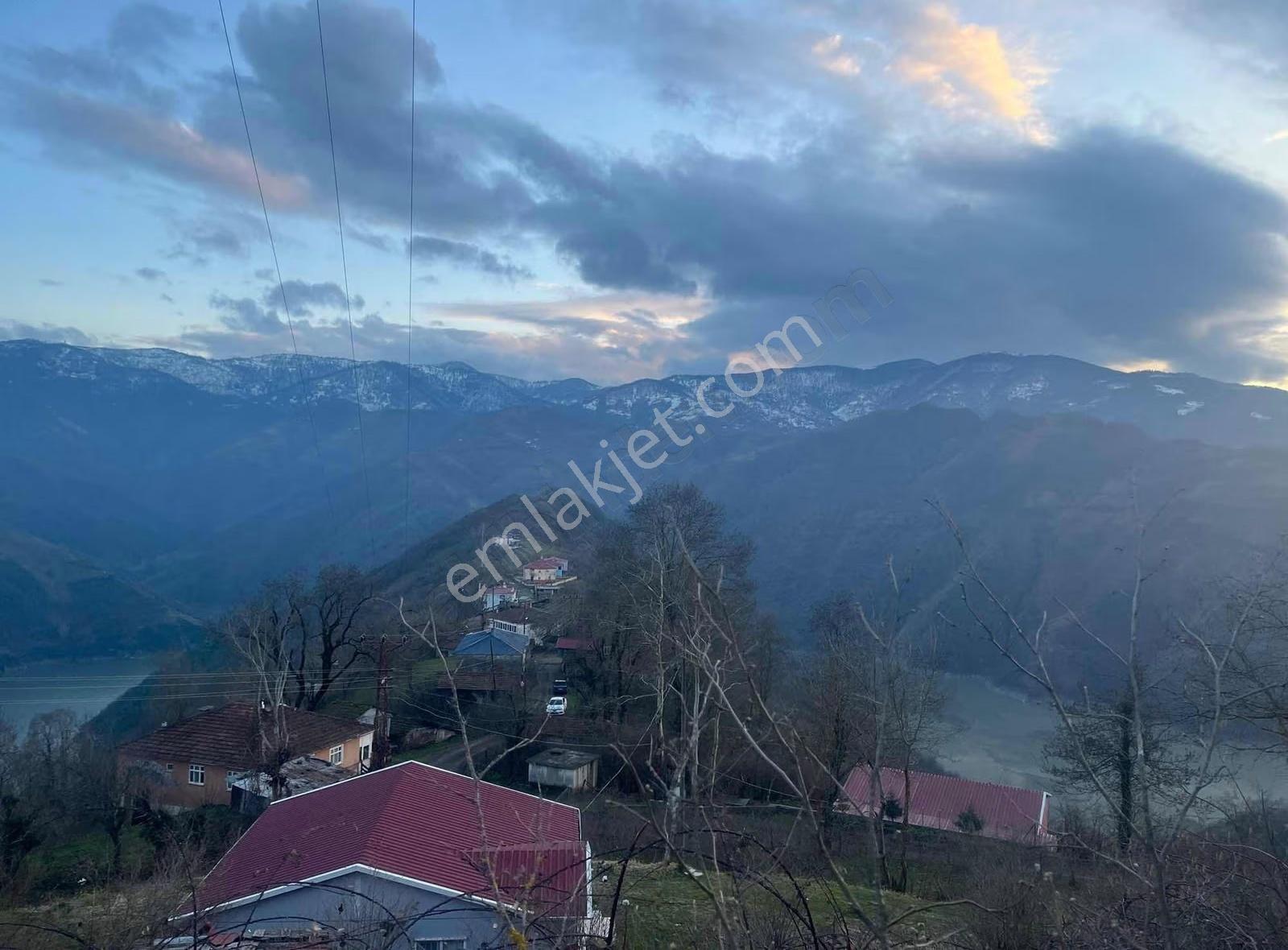 Sevgi Emlaktan Bungalovluk Manzaralı Fındık Bahçesi - Görsel 9