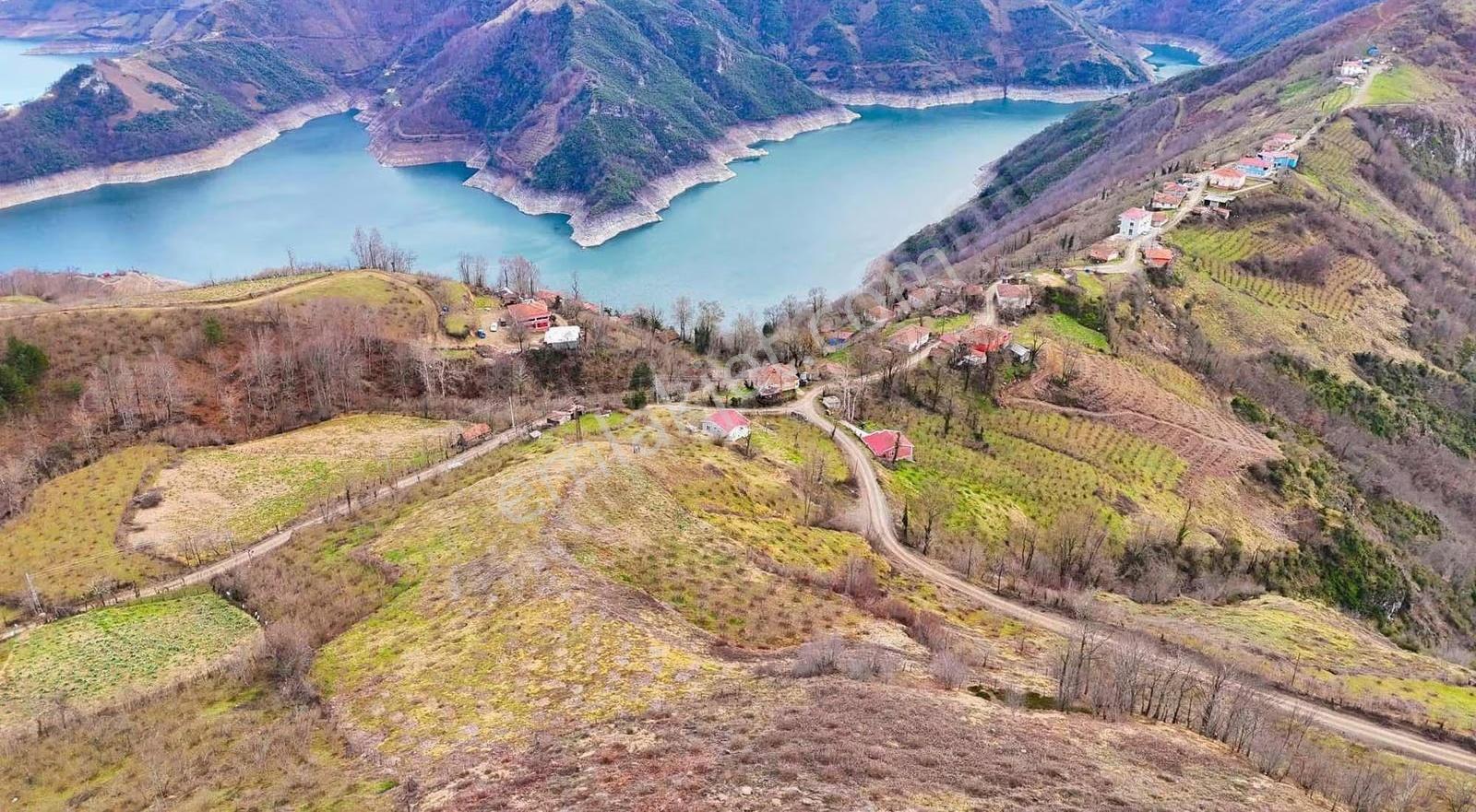 Sevgi Emlaktan Bungalovluk Manzaralı Fındık Bahçesi - Görsel 4