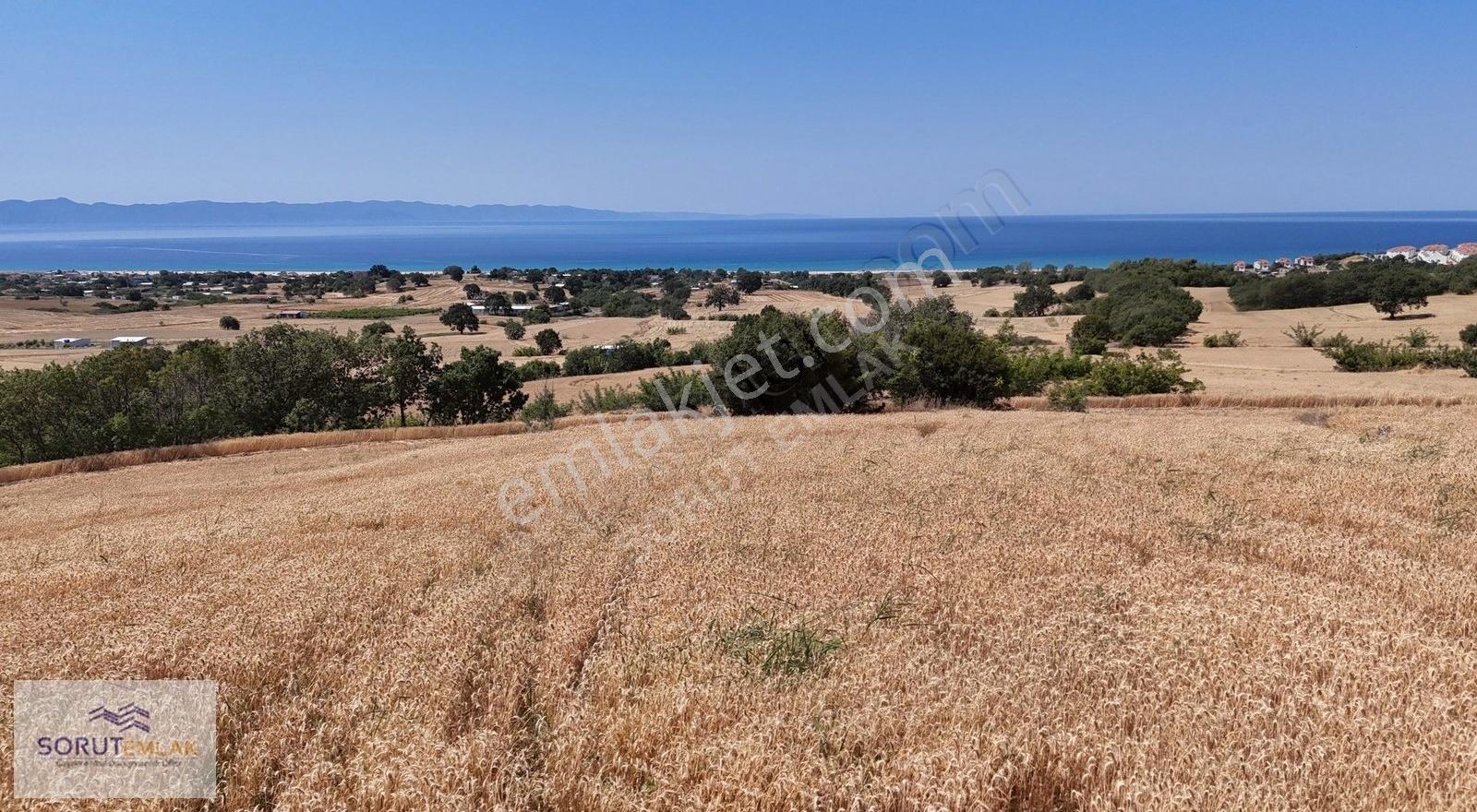 Mecidiye Sahil'e Yakın, Deniz Manzaralı 7.800 M² Satılık Tarla - Görsel 24