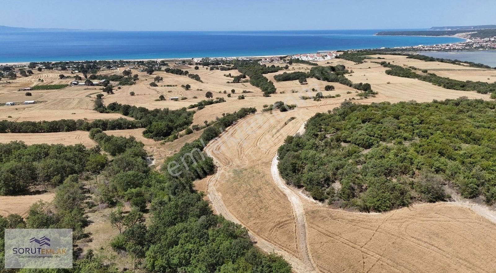Mecidiye Sahil'e Yakın, Deniz Manzaralı 7.800 M² Satılık Tarla - Görsel 9