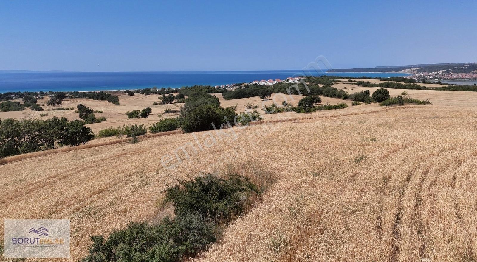 Mecidiye Sahil'e Yakın, Deniz Manzaralı 7.800 M² Satılık Tarla - Görsel 3