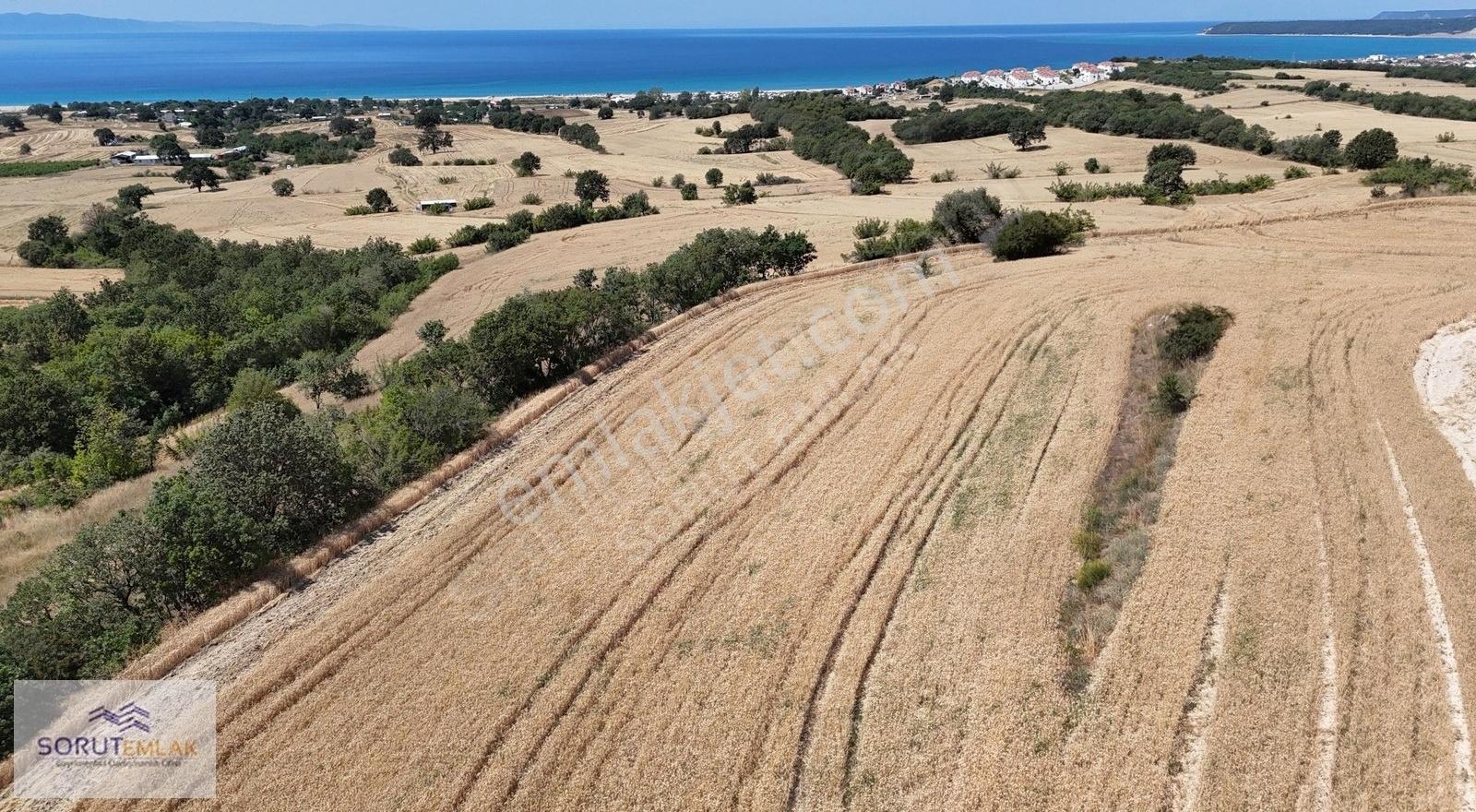 Mecidiye Sahil'e Yakın, Deniz Manzaralı 7.800 M² Satılık Tarla - Görsel 12