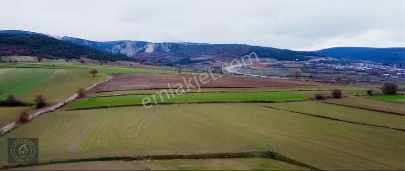 Bursa Yenişehir İncirli Mahallesi Kadastrol Yollu 1500 M Arazi - Görsel 13
