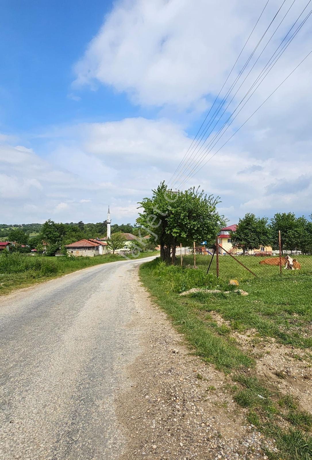 Yenisefa Köyünde İmarlı Köy İçi Arsa - Görsel 14