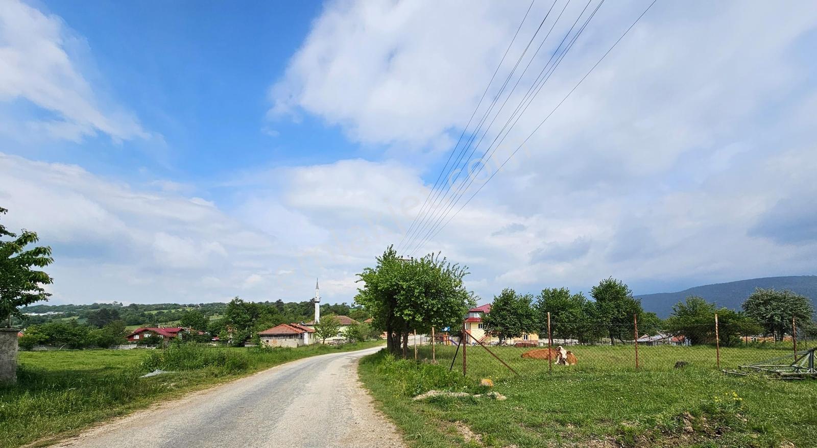 Yenisefa Köyünde İmarlı Köy İçi Arsa - Görsel 4