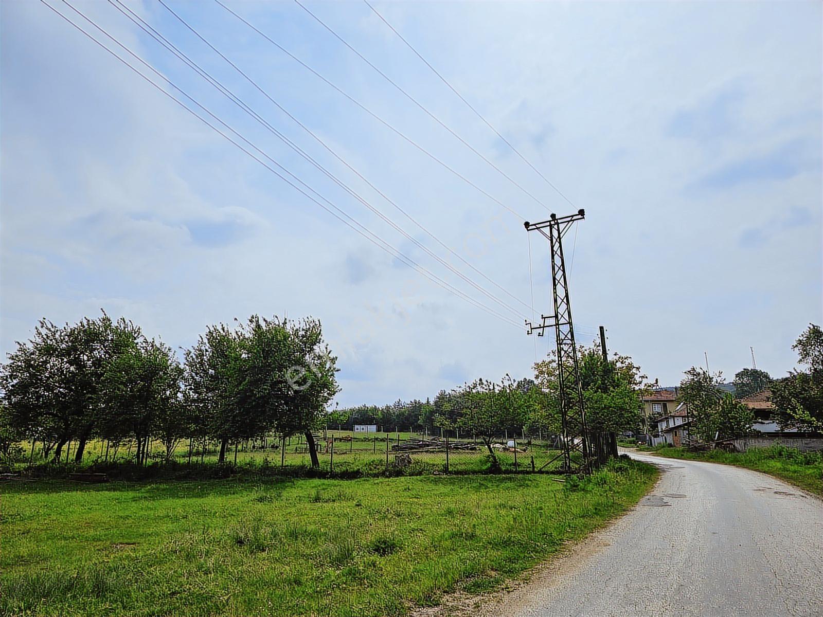 Yenisefa Köyünde İmarlı Köy İçi Arsa - Görsel 12