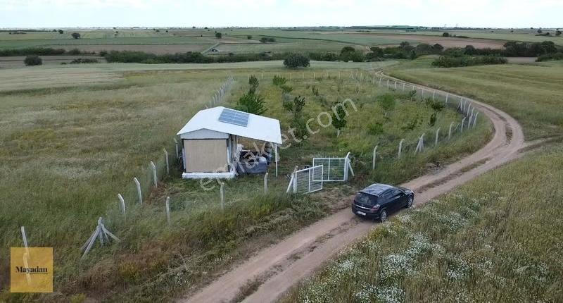 Mayadan Değirmencik De Yolu Suyu Elektriği Olan Bağ Yeri Tarla - Görsel 10