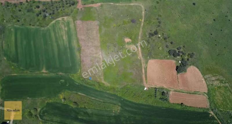 Mayadan Gyo Çalışkanlarda Tek Pasel 224 M2 Satılık Arsa - Görsel 13