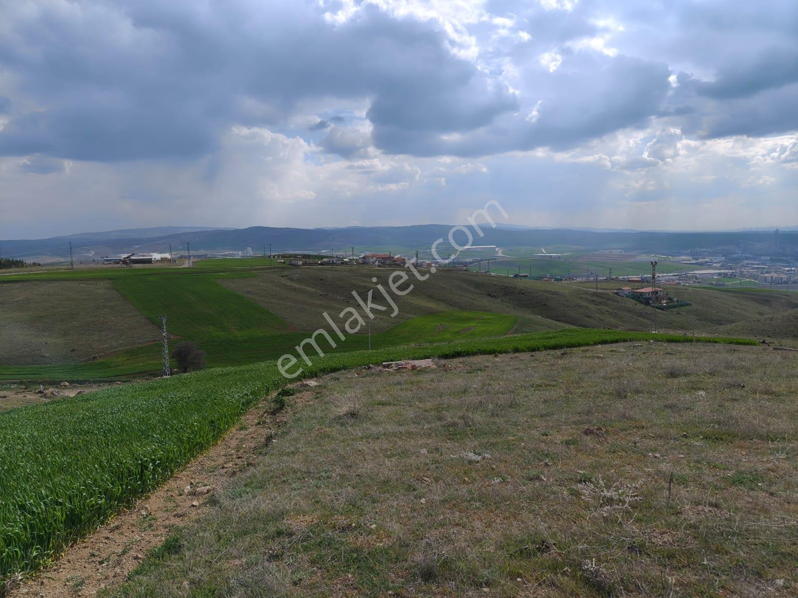 Sahibinden 903 M2 İmarlı Tek Tapu Arsa; Konut, Villa, Bahçe Yapımına Uygun - Görsel 6