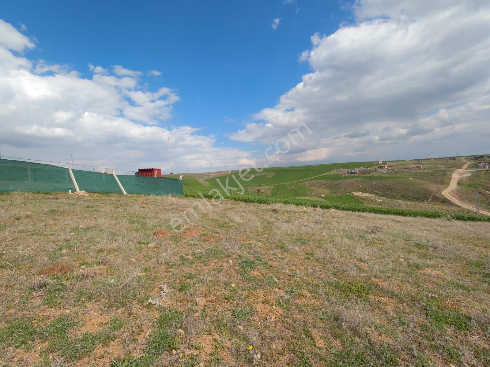 Sahibinden 903 M2 İmarlı Tek Tapu Arsa; Konut, Villa, Bahçe Yapımına Uygun - Görsel 4