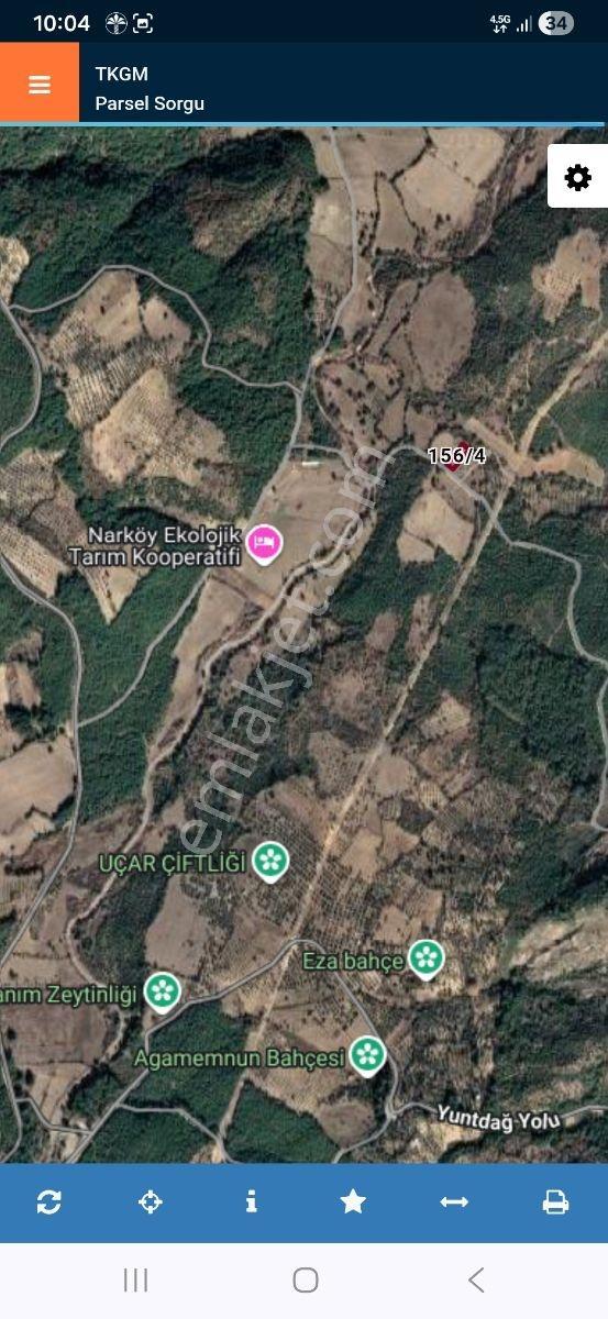1135 M² Tek Tapu Bergama Zeytindağ Koyuneli De Satılık Tarla - Görsel 2