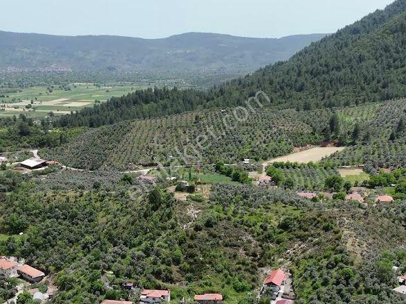 Muğla Menteşe Kafaca Mahallesinde 1065m2 Satılık İmarlı Arsa!!! - Görsel 14