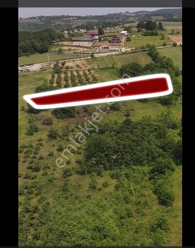 Garanti'de Kandıra Terzilerde İçinde Çeşmesi Olan Bulunmaz Tarla - Görsel 3