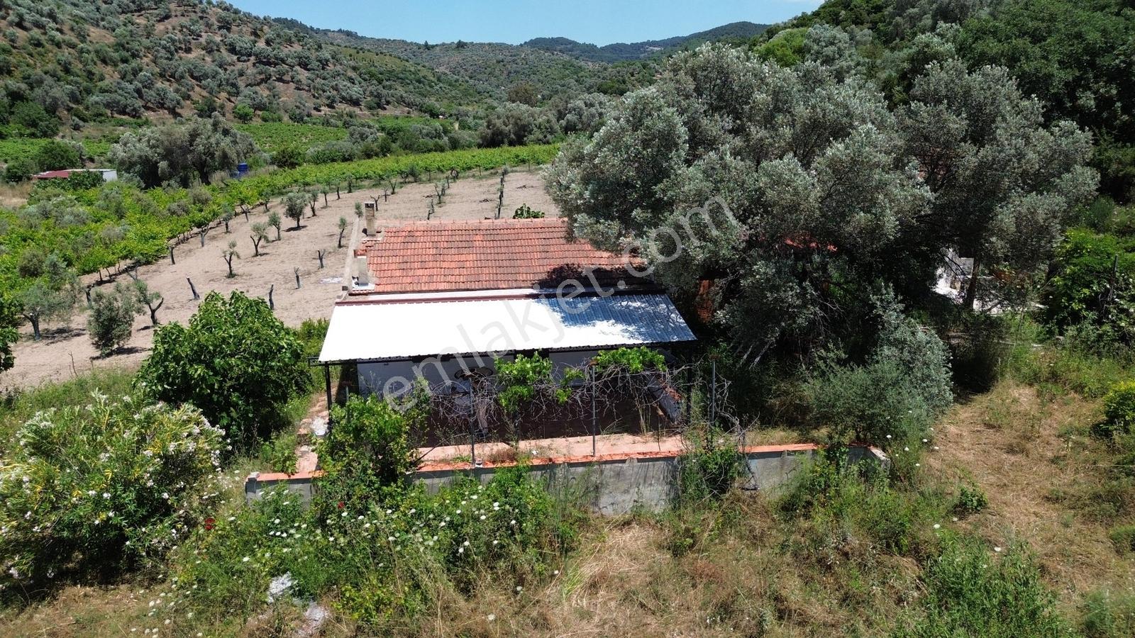 Seferihisar Beyler'de Baraj Gölüne Komşu, Kesintisiz Manzaralı - Görsel 25