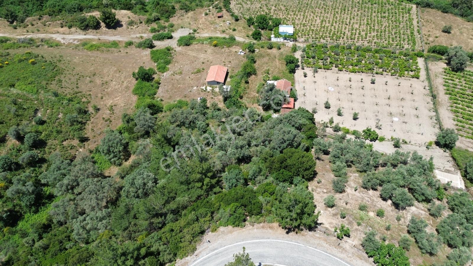 Seferihisar Beyler'de Baraj Gölüne Komşu, Kesintisiz Manzaralı - Görsel 23