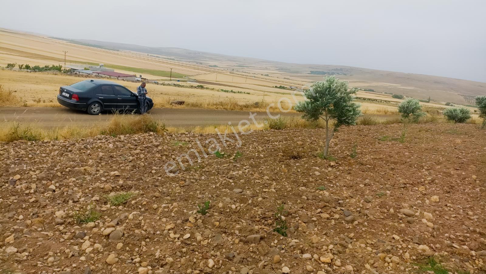 Aktif Den ^^yıgmatepe^^de Asvalt Üzeri Çok Güzel Arazi - Görsel 21