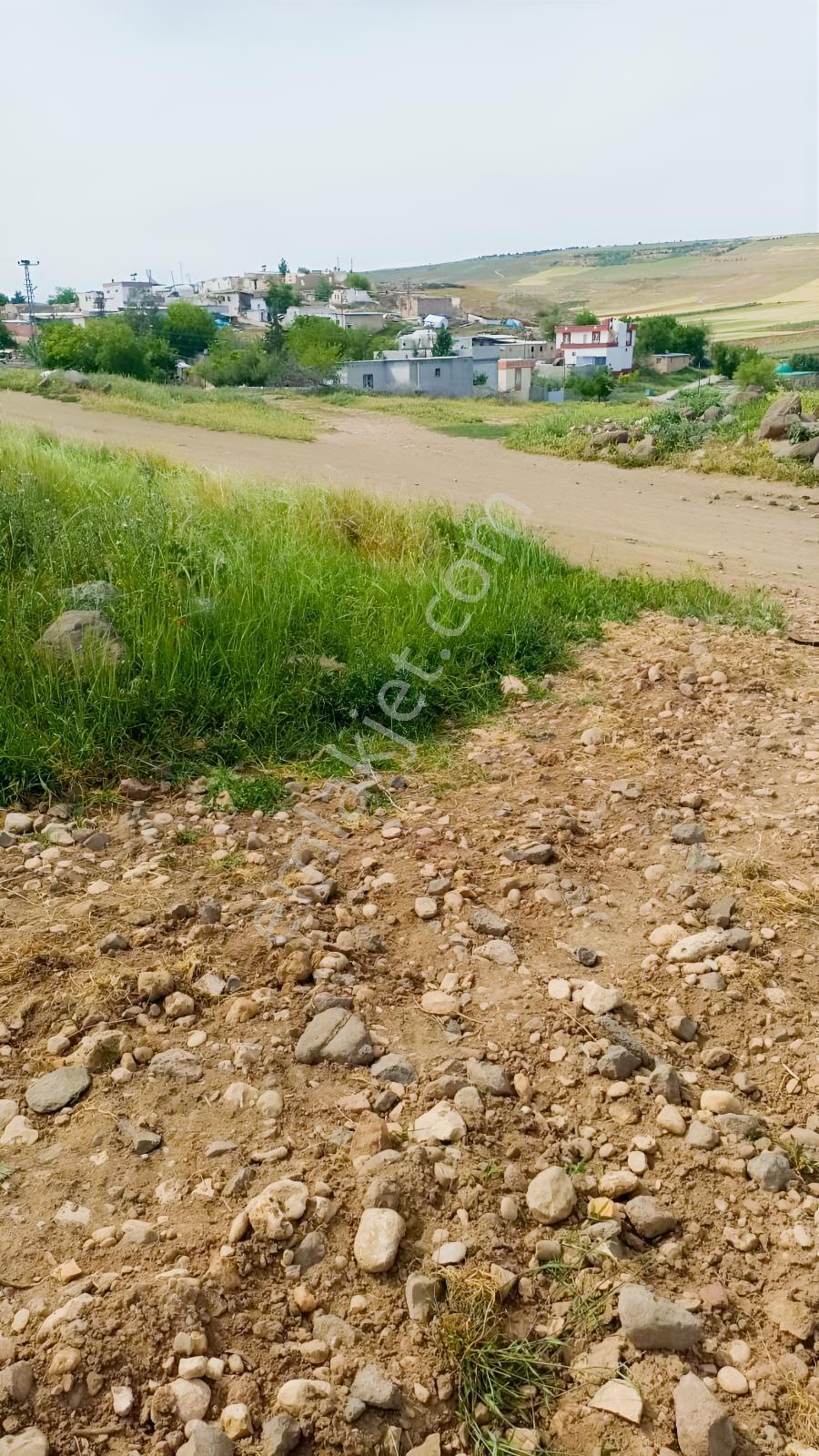 Aktif Den ^^yıgmatepe^^de Asvalt Üzeri Çok Güzel Arazi - Görsel 19