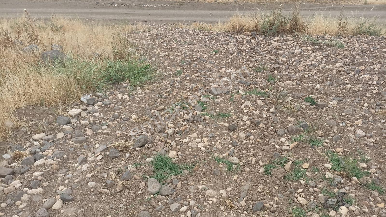 Aktif Den ^^yıgmatepe^^de Asvalt Üzeri Çok Güzel Arazi - Görsel 35