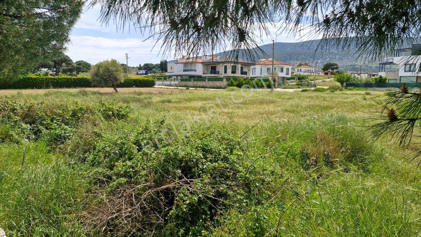 Karaburun Mordoğan'da Önü Kapanmaz 307m² Köşe Villa Parseli - Görsel 18