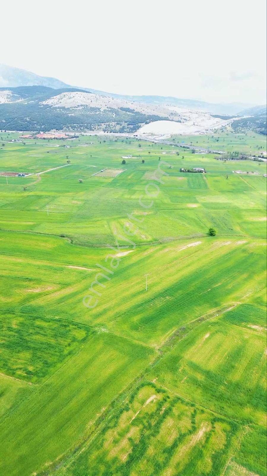 Tavas Sarıabat'ta 6750 M2 Fırsat Arazi - Görsel 2