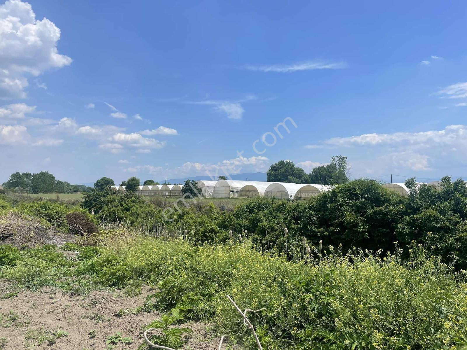 Erenler Sarıcalarda Fabrikalar Bölgesinde 1060m2 Fırsat - Görsel 8