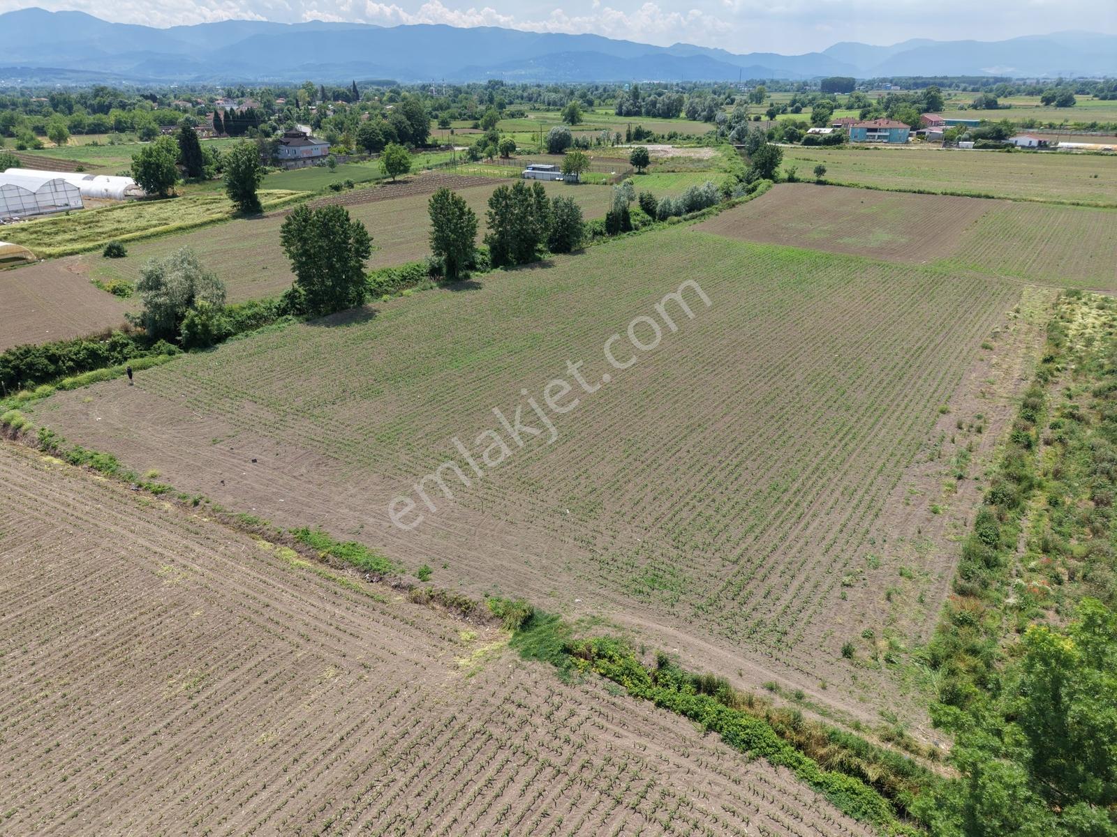 Erenler Sarıcalarda Fabrikalar Bölgesinde 1060m2 Fırsat