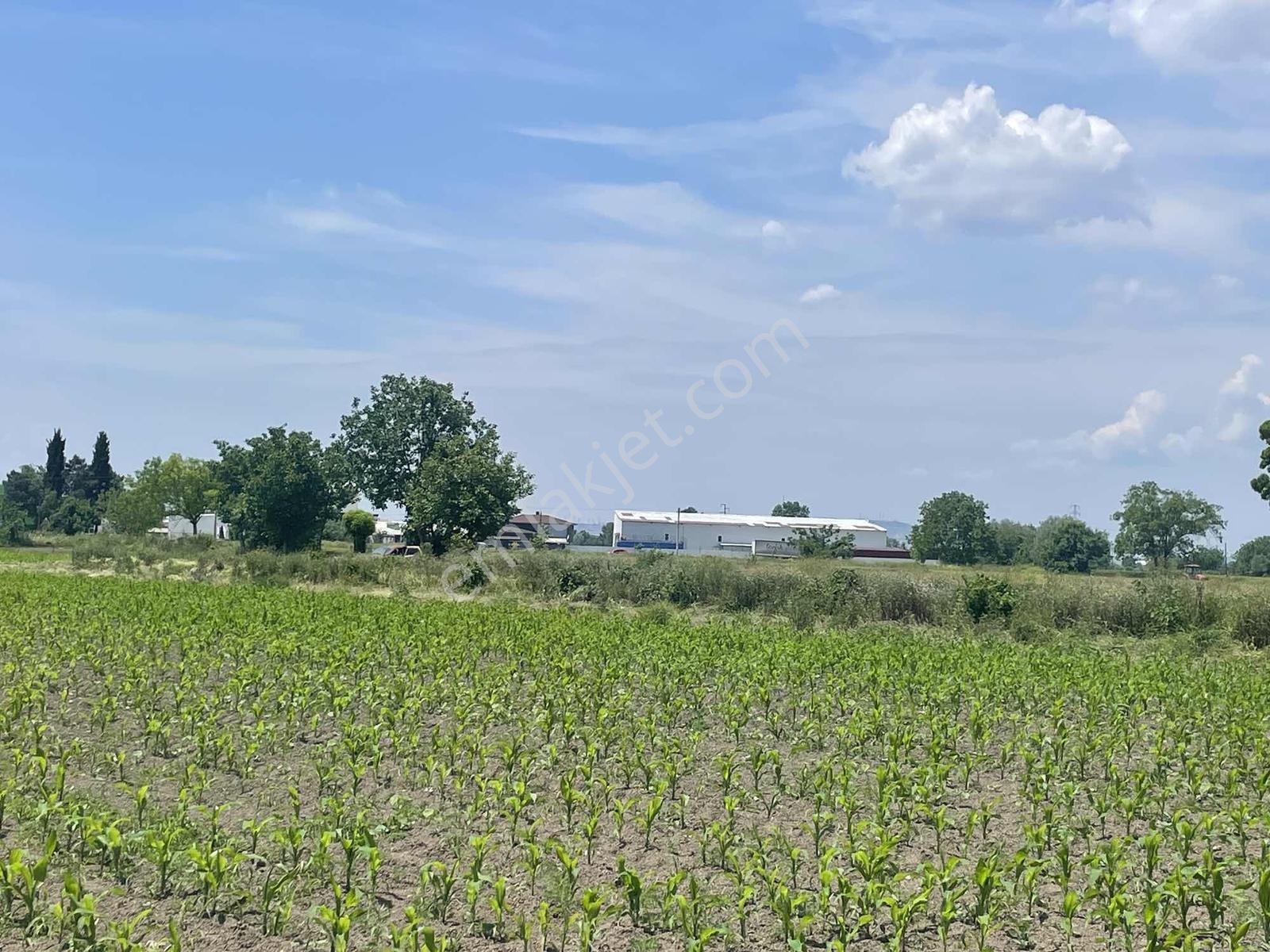 Erenler Sarıcalarda Fabrikalar Bölgesinde 1060m2 Fırsat - Görsel 30