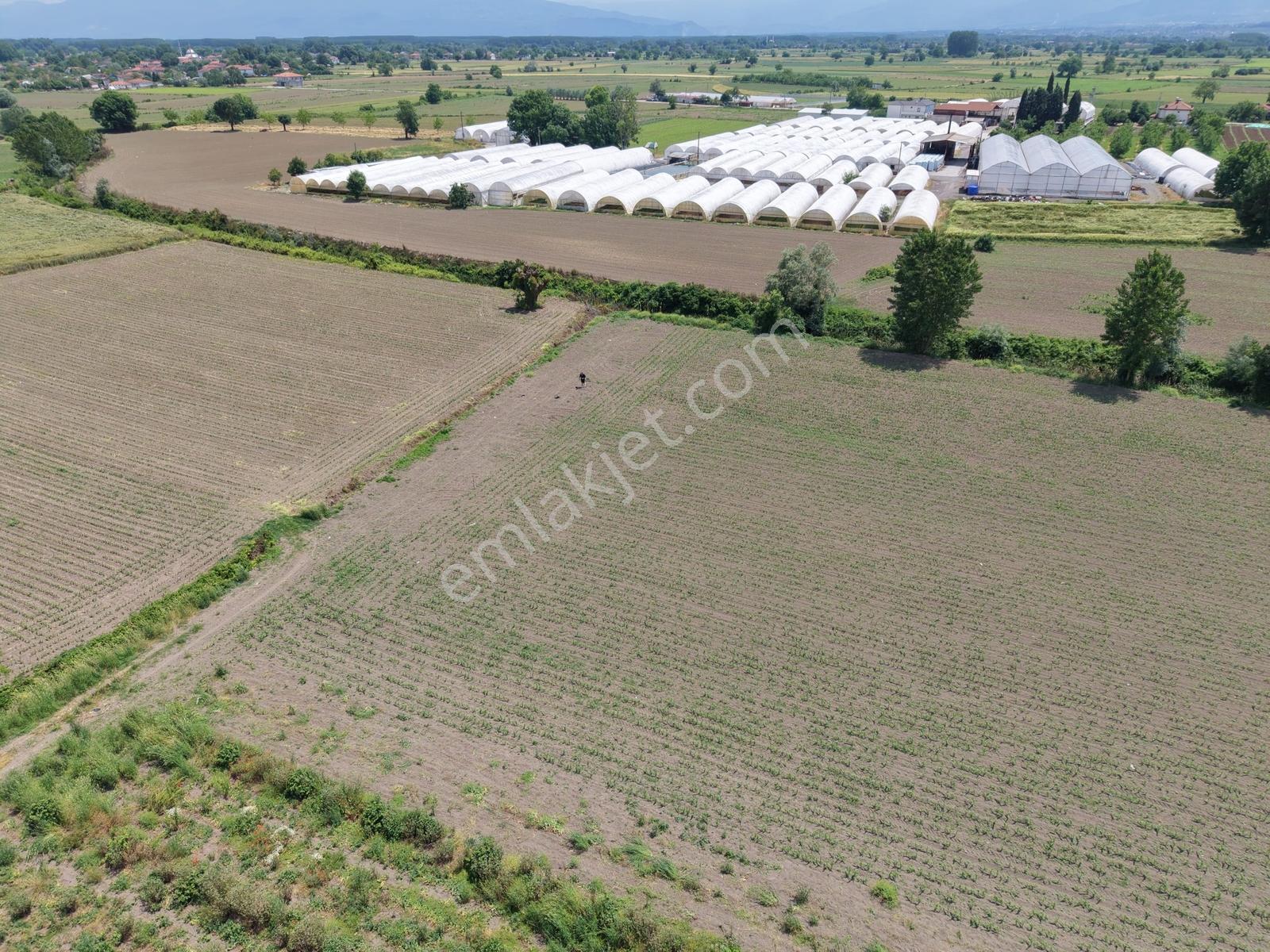 Erenler Sarıcalarda Fabrikalar Bölgesinde 1060m2 Fırsat - Görsel 16